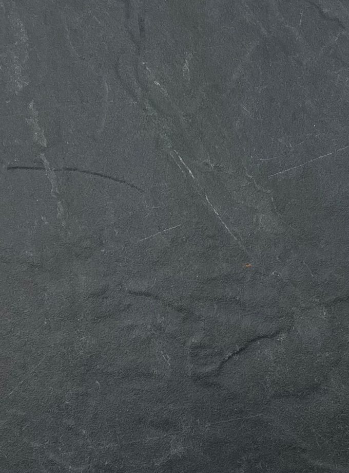 Porcelanato 60x60 Grey Memorial